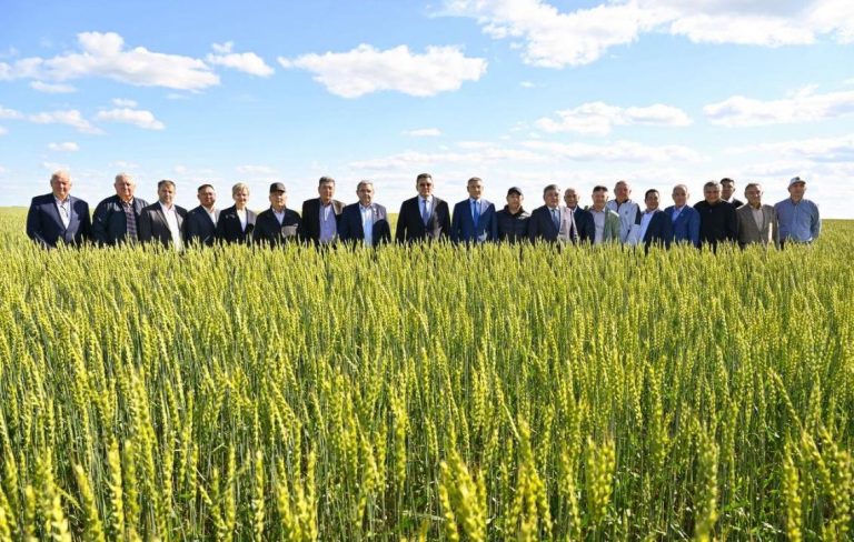 СҚО-да «Дала күні 2025» өтті: «Ұлы дала астығы» науқанына дайындық басталды