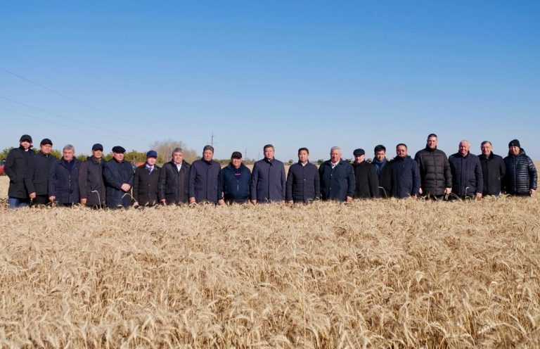 Ауыл шаруашылығы министрі СҚО-ға жұмыс сапарымен келді: АӨК даму қарқыны мен рекордтық астық жиымы