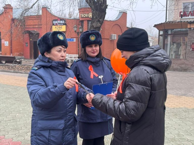 Петропавлда Жыл Басынан Бері 1000-нан Астам Тұрмыстық Құқықбұзушы Жауапкершілікке Тартылды