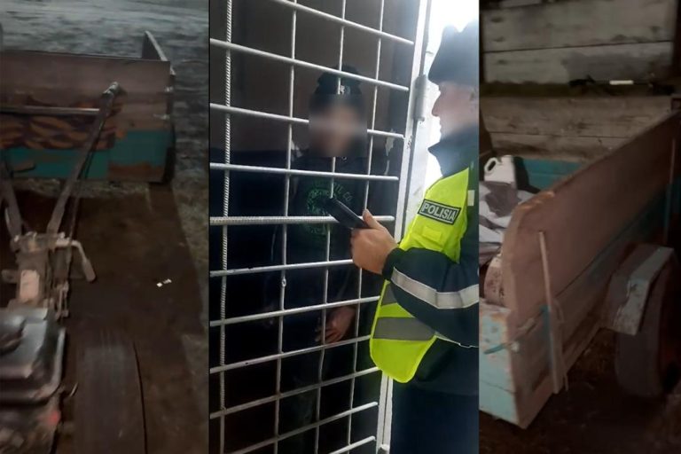 СҚО-да Үш Күн Ішінде Төрт Мас Жүргізуші Ұсталды: «Қауіпті Жүргізуші» Акциясы Жалғасуда